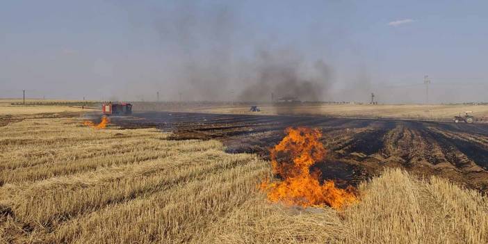 Mardin’de çıkan anız ve orman yangınları kontrol altına alındı